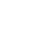 Seguridad Icon
